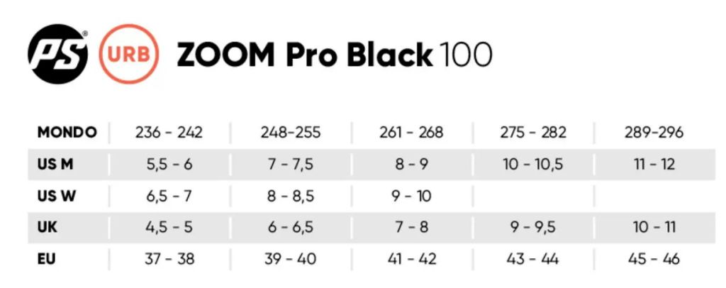 Zoom_Pro_100.jpg