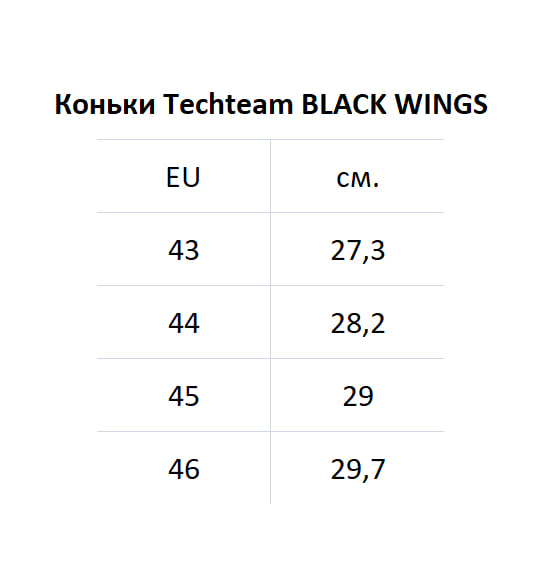 Techteam Black Wings.jpg