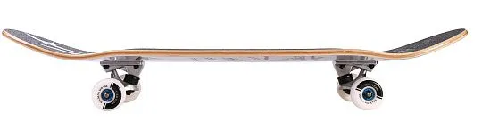 Tech Team Liberty - 2025 Bird