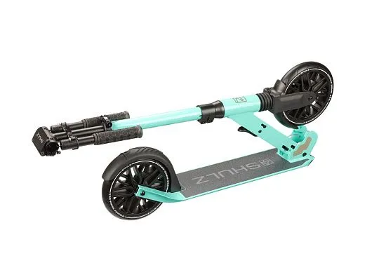 SHULZ 200 - 2021 Mint