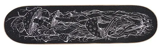 Tech Team Liberty - 2025 Mushrooms