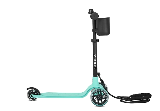 SHULZ ANT MINI - Mint