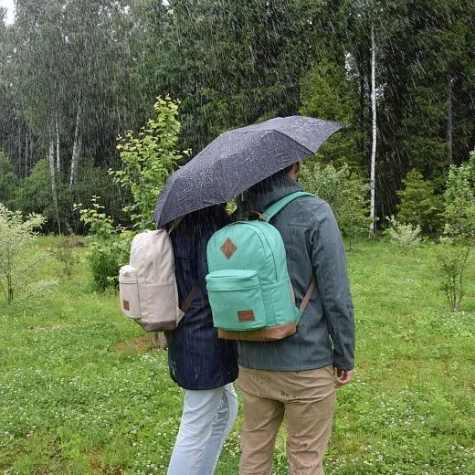 Asgard Р-5455 Голубой светлый черный