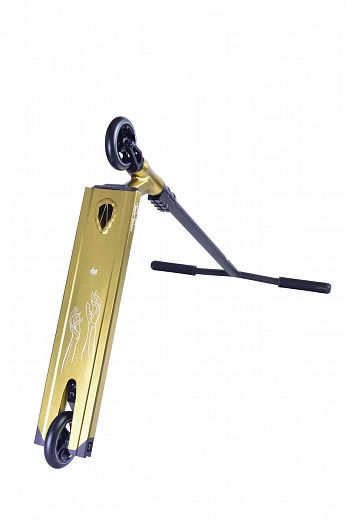 Tech Team HEX - 2021 Gold