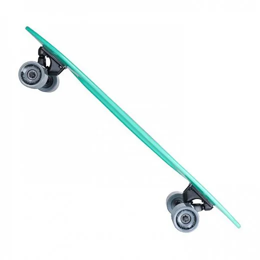 Tech Team Fishboard 31 - 2022 Mint Tech Team Fishboard 31 - 2022 Mint