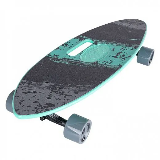 Tech Team Fishboard 31 - 2022 Mint Tech Team Fishboard 31 - 2022 Mint